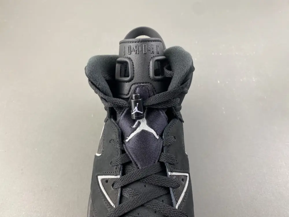 Air Jordan 6 