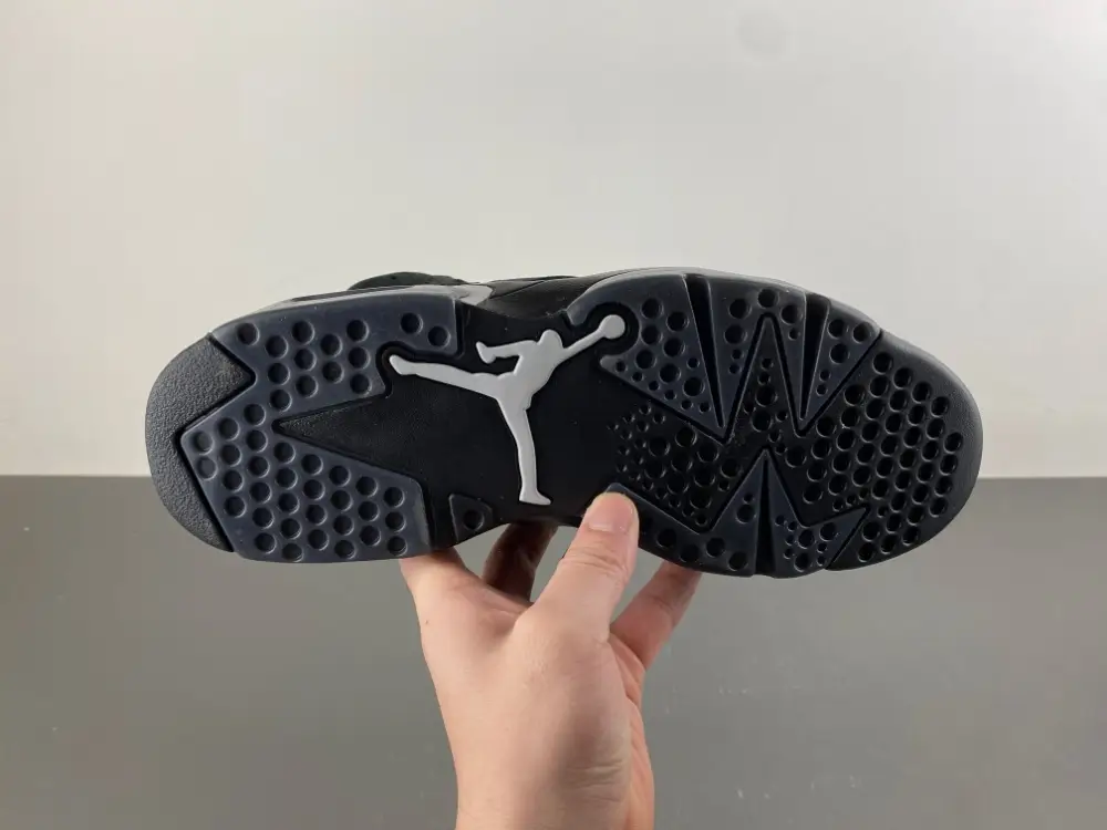 Air Jordan 6 