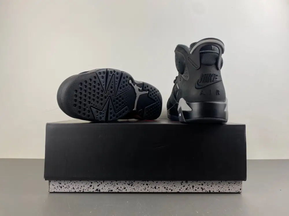 Air Jordan 6 