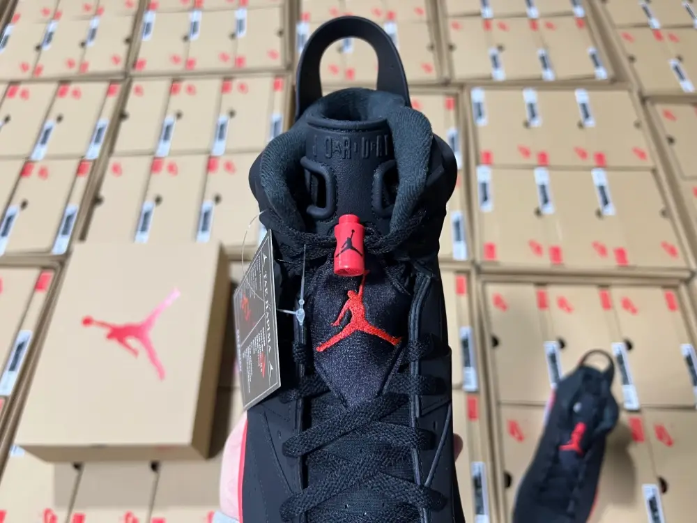 Air Jordan 6 