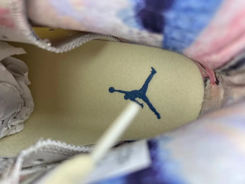 Air Jordan 6 Sport 
