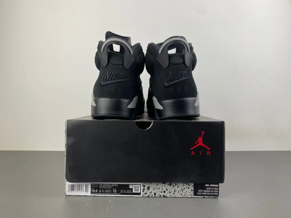 Air Jordan 6 
