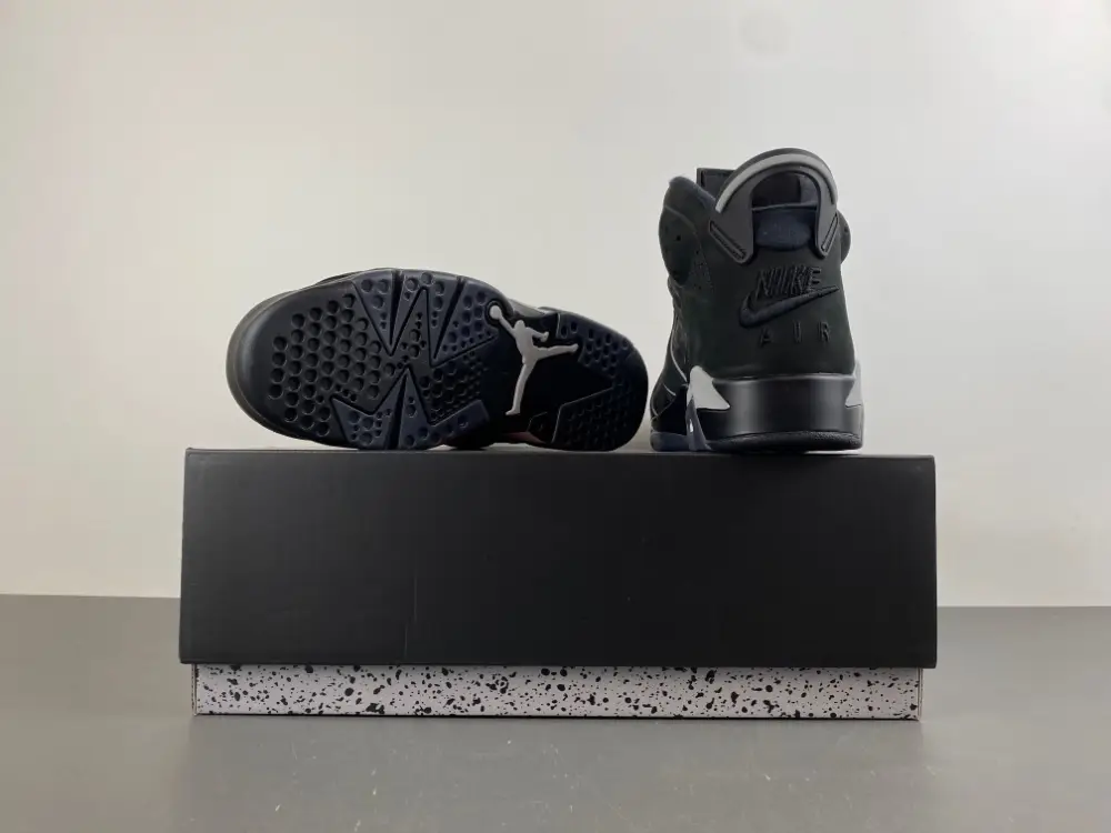 Air Jordan 6 