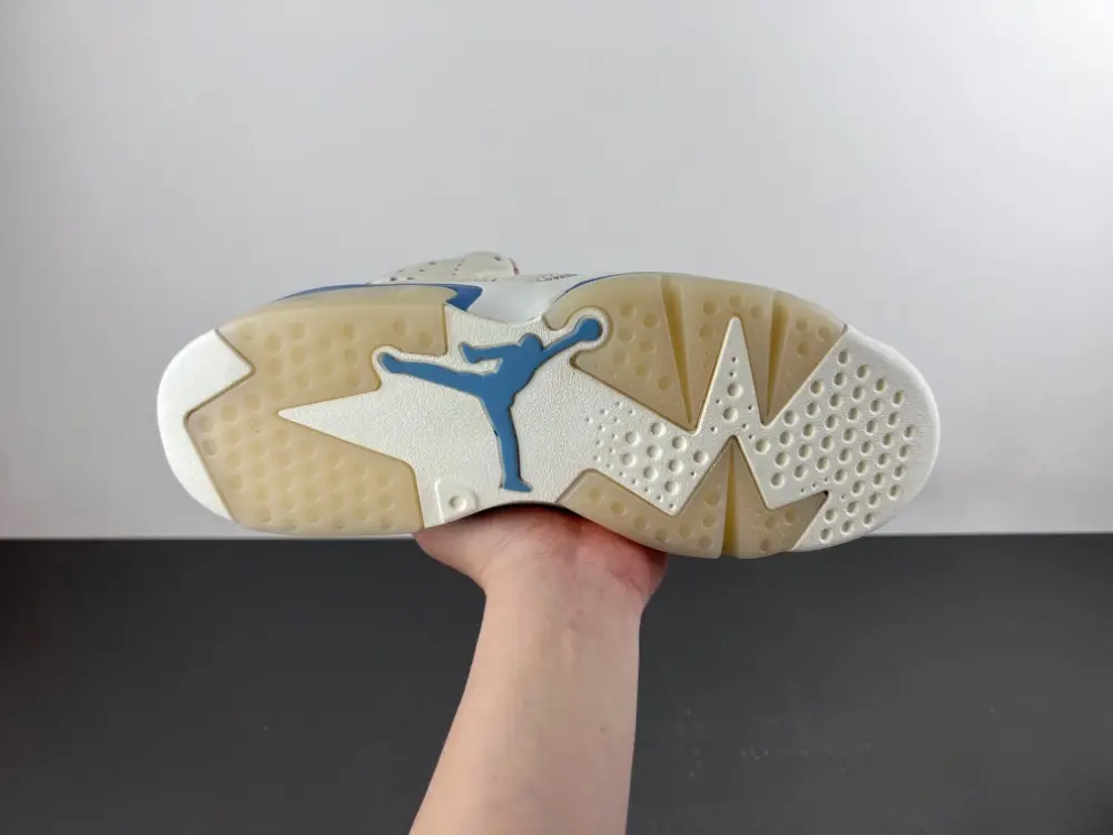 Air Jordan 6 Sport 
