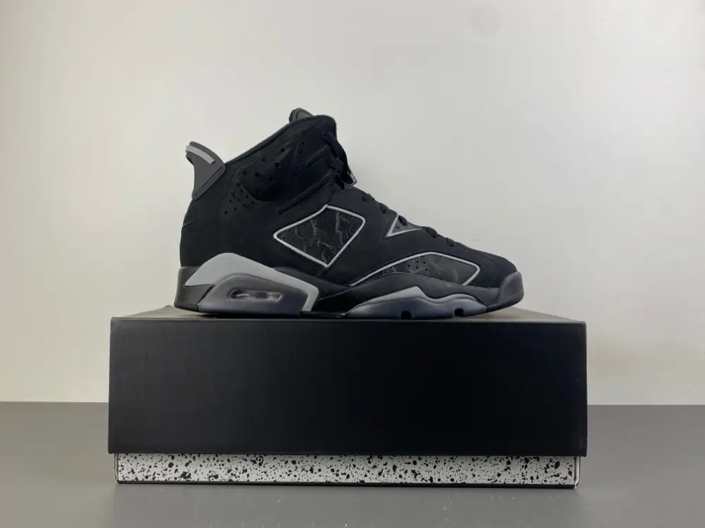 Air Jordan 6 