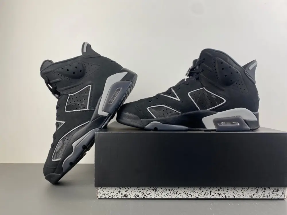 Air Jordan 6 