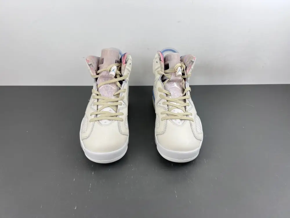 Air Jordan 6 Sport 