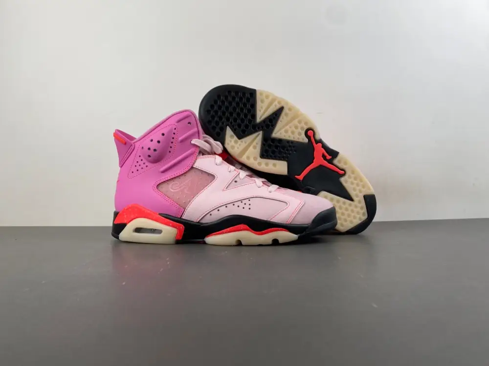 Awake NY x Air Jordan 6 