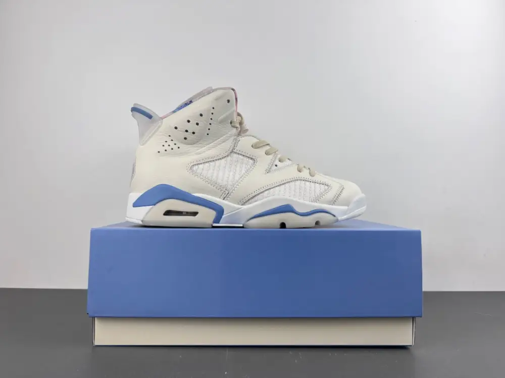 Air Jordan 6 Sport 