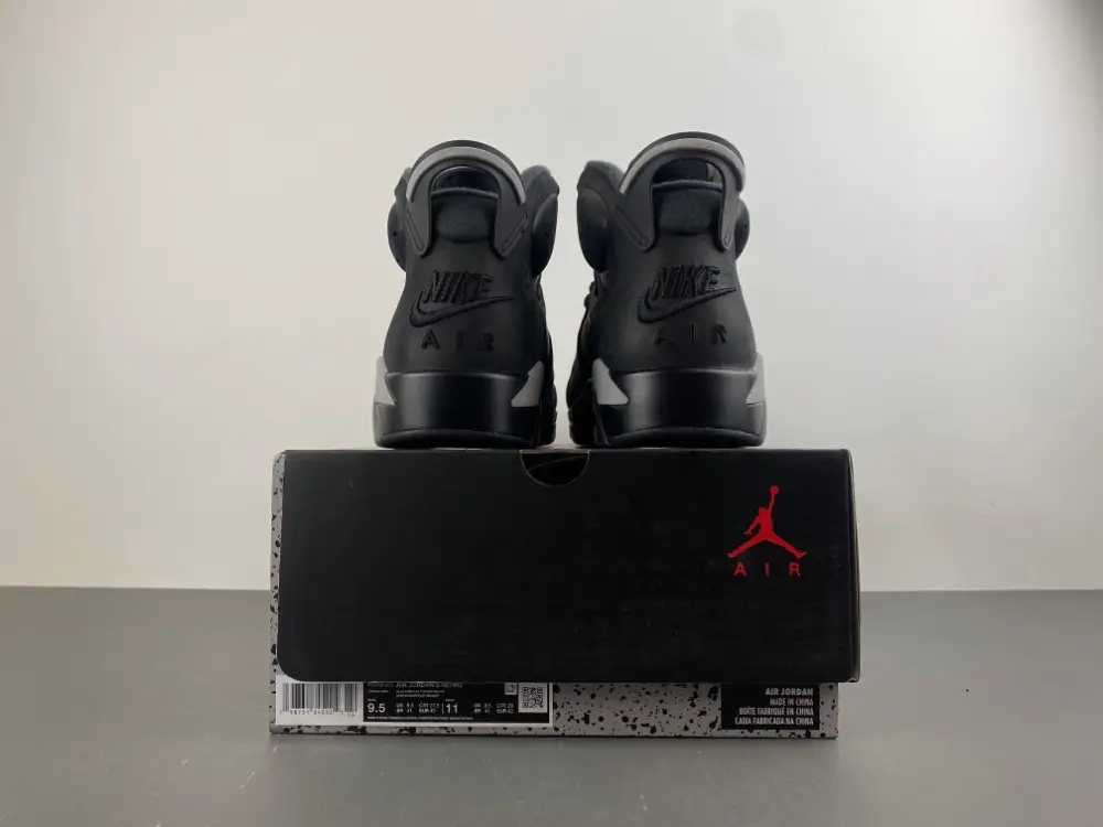 Air Jordan 6 