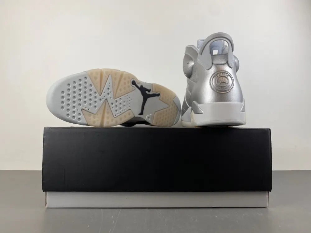 Air Jordan 6 