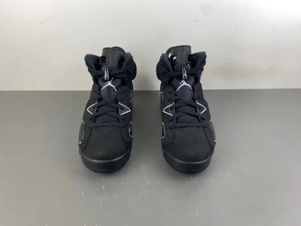 Air Jordan 6 