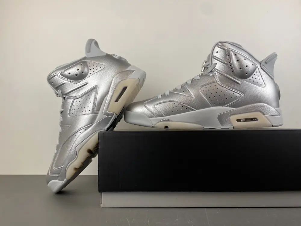 Air Jordan 6 
