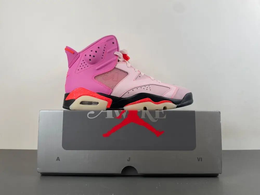 Awake NY x Air Jordan 6 