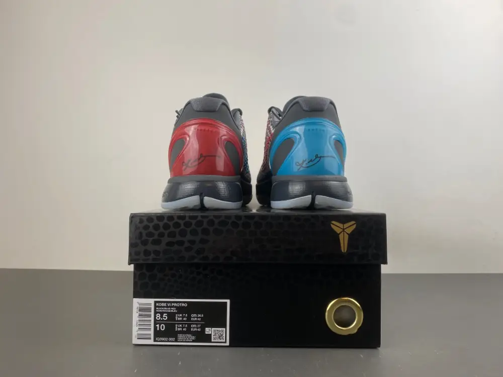 Nike Kobe 6 Protro 