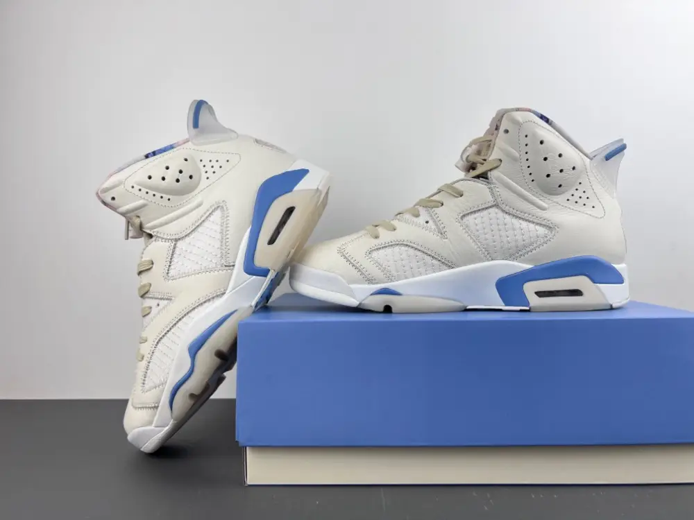 Air Jordan 6 Sport 