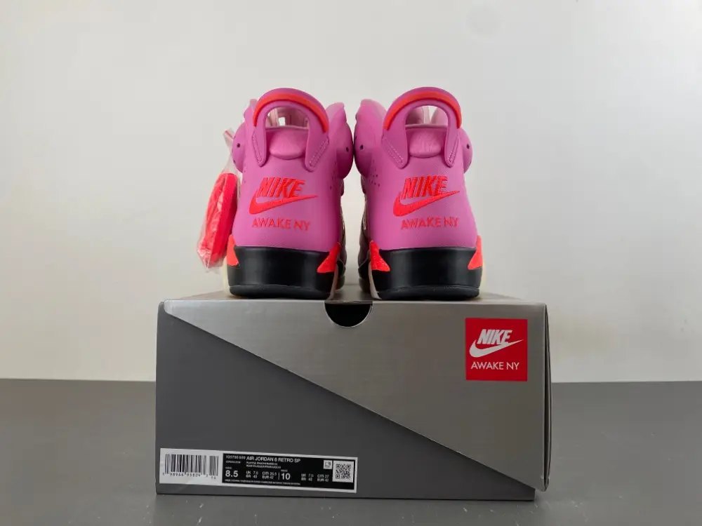 Awake NY x Air Jordan 6 