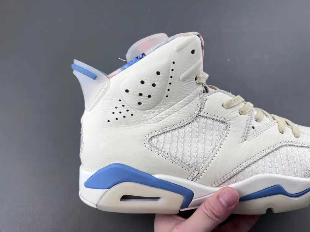 Air Jordan 6 Sport 