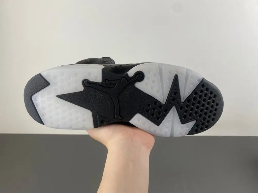 Air Jordan 6 Retro 'Xuanwu  IR7572 