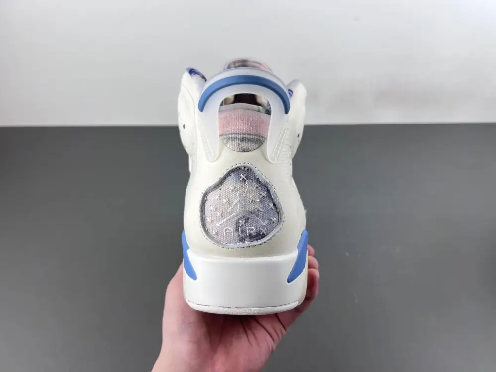 Air Jordan 6 Sport 