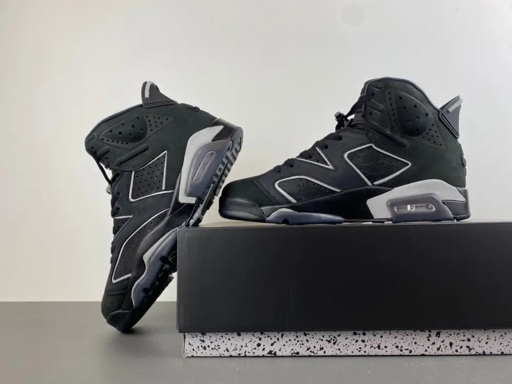 Air Jordan 6 