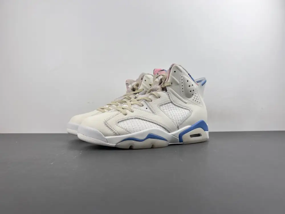 Air Jordan 6 Sport 