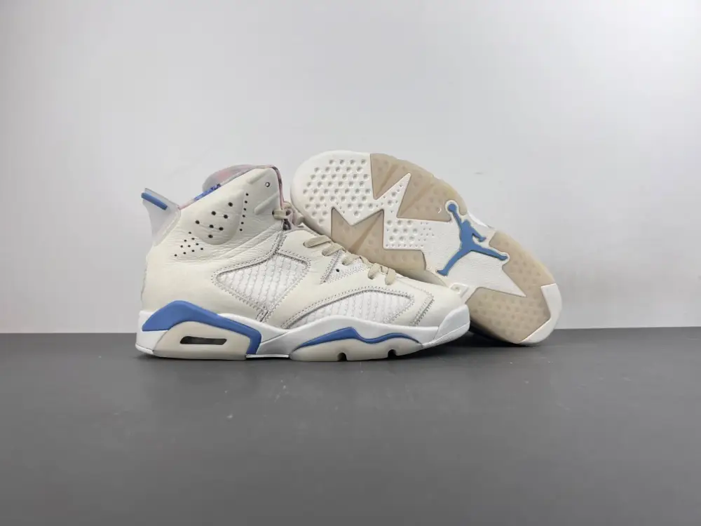Air Jordan 6 Sport 