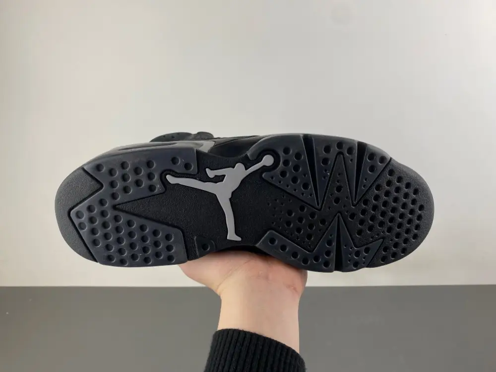 Air Jordan 6 