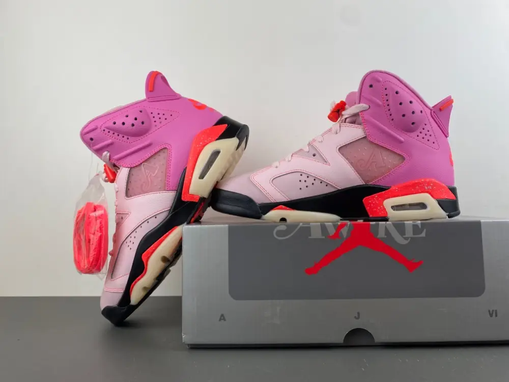 Awake NY x Air Jordan 6 