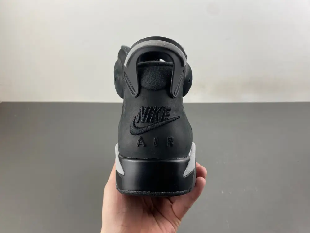 Air Jordan 6 