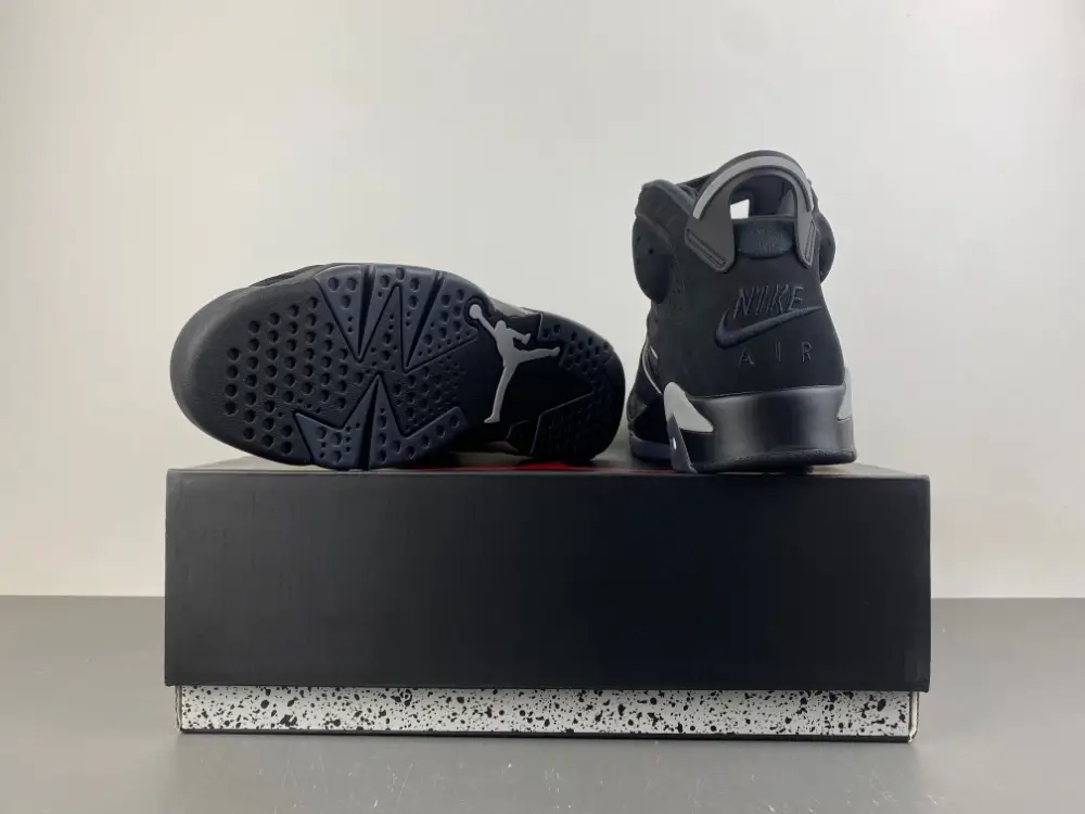 Air Jordan 6 