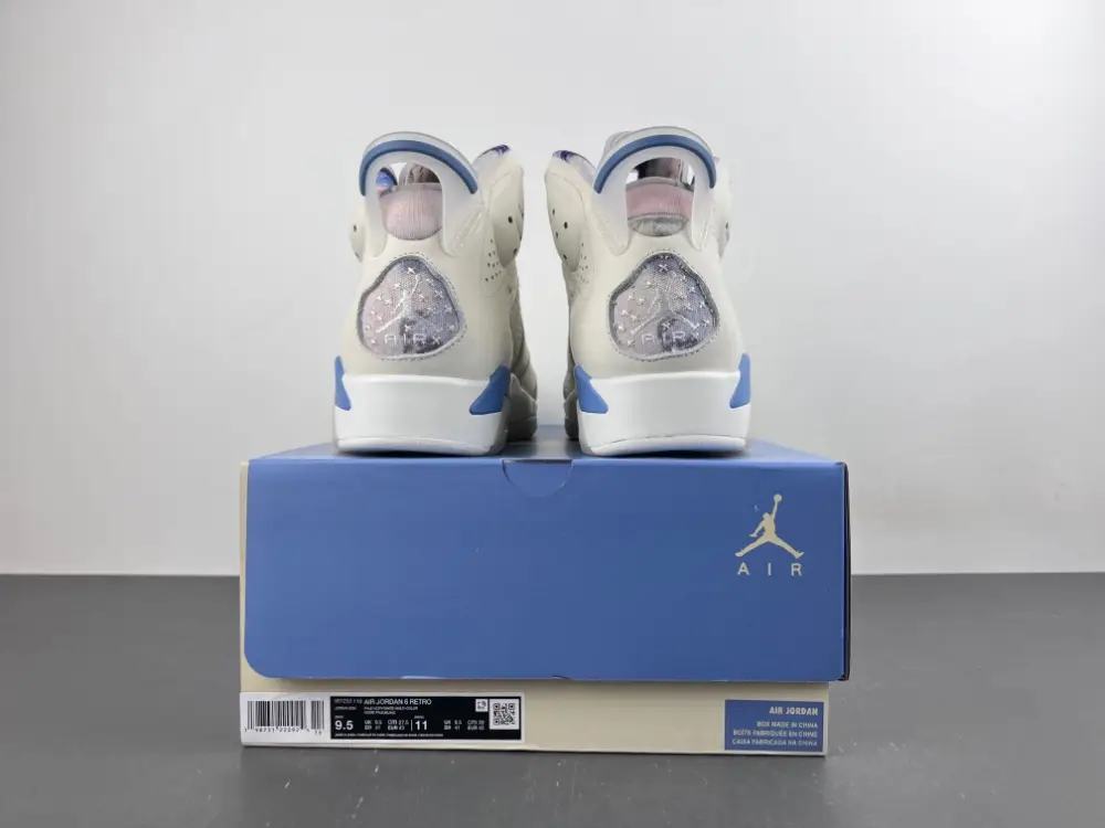 Air Jordan 6 Sport 