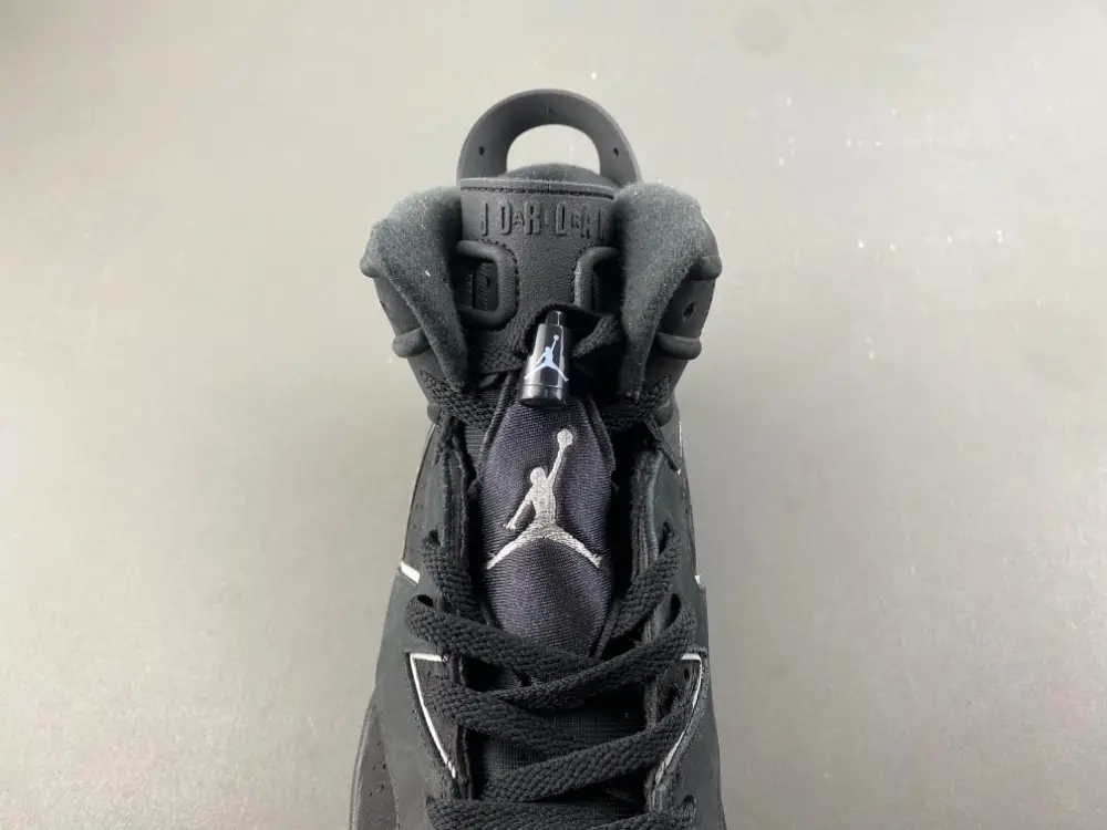 Air Jordan 6 