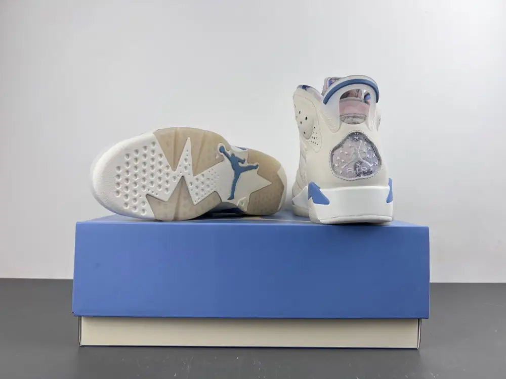 Air Jordan 6 Sport 