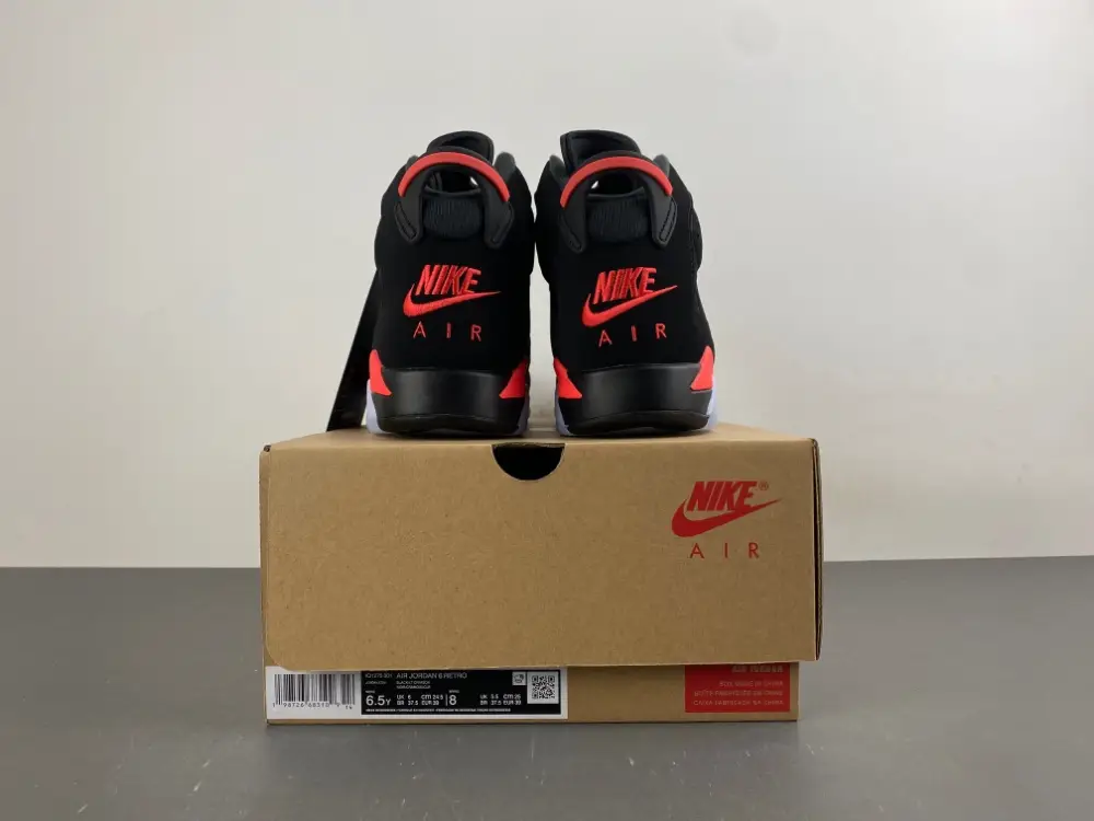 Air Jordan 6 Retro