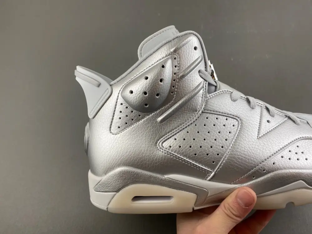 Air Jordan 6 