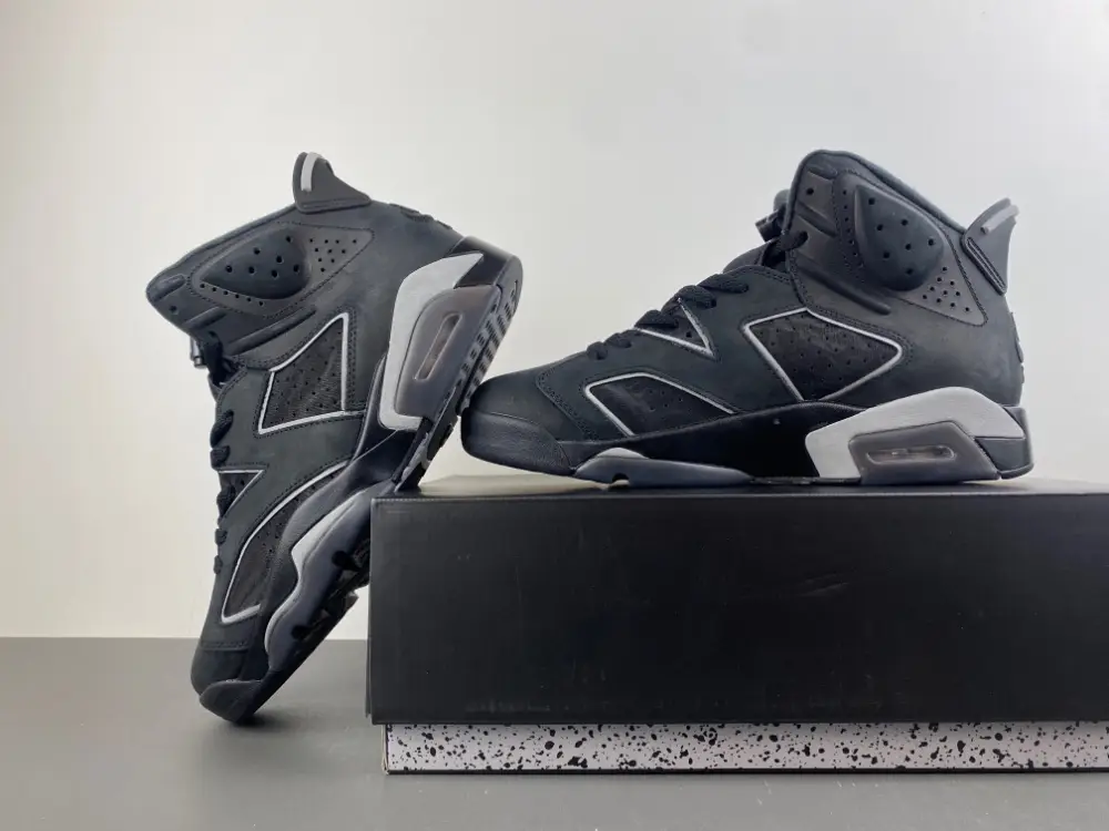Air Jordan 6 