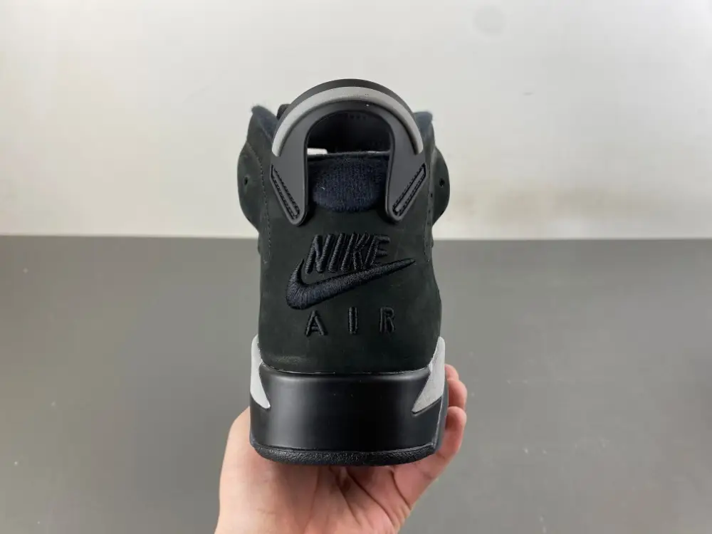 Air Jordan 6 