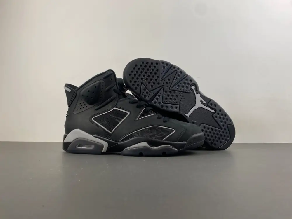 Air Jordan 6 