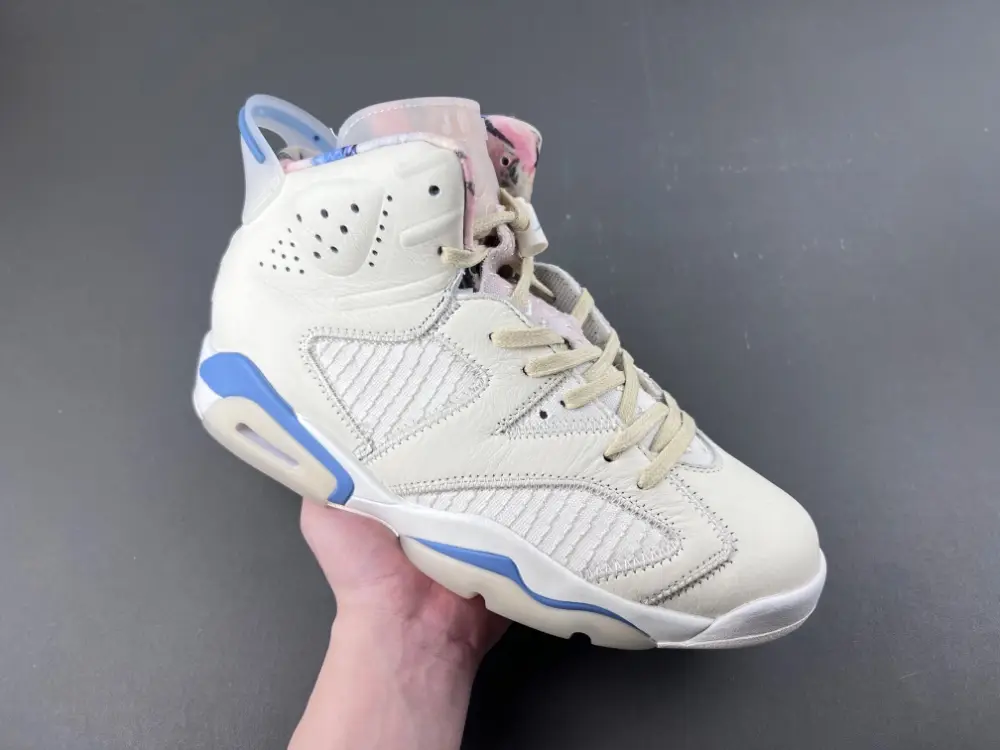 Air Jordan 6 Sport 