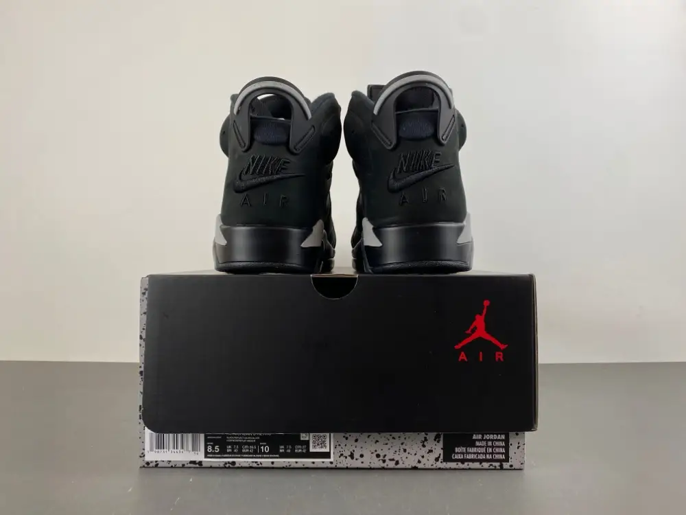 Air Jordan 6 