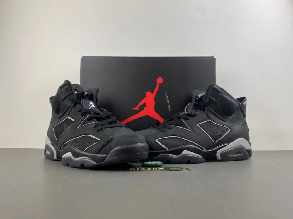 Air Jordan 6 
