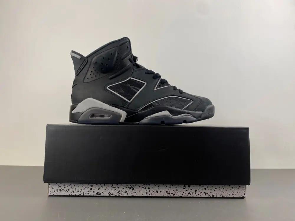 Air Jordan 6 