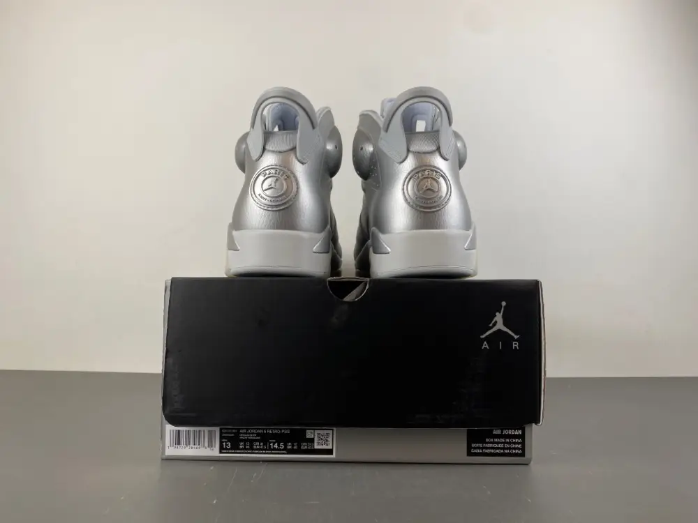 Air Jordan 6 