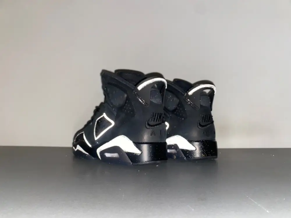 Air Jordan 6 