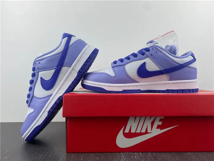 Nike Dunk Low Blueberry 