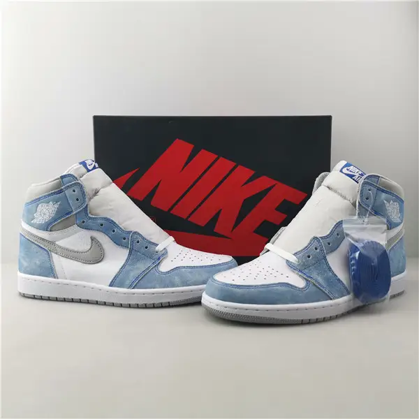 AIR JORDAN 1 RETRO HIGH  ECCA2269