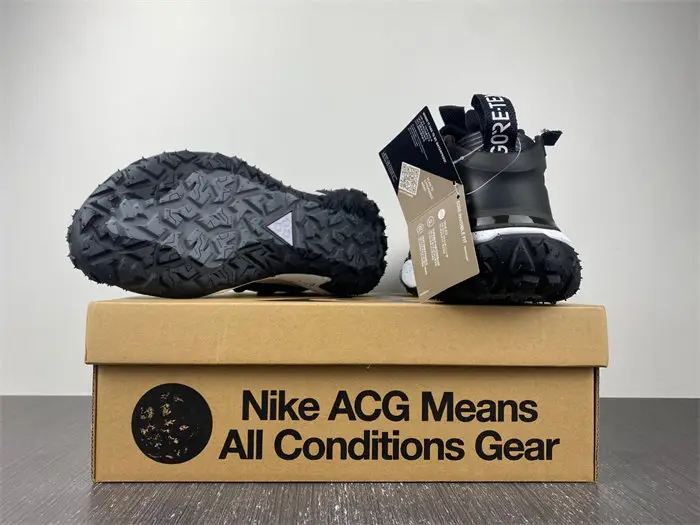 Nike ACG Mountain Fly Low Gore-Tex SE Dark Smoke Grey 