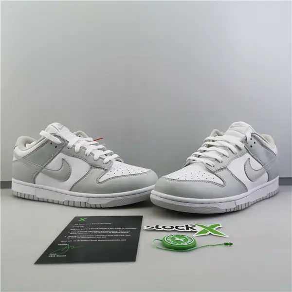 Nike SB Dunk Low Silver ash killer 