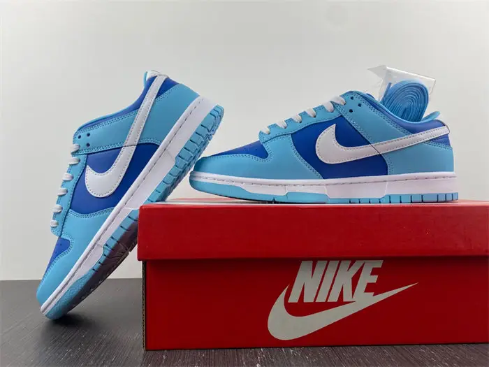 Nike Dunk Low Retro QS Argon 